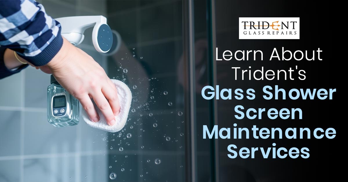 Learn About Trident's Glass Shower Screen Maintenance Services